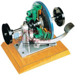 Sectioned Single Disk Clutch